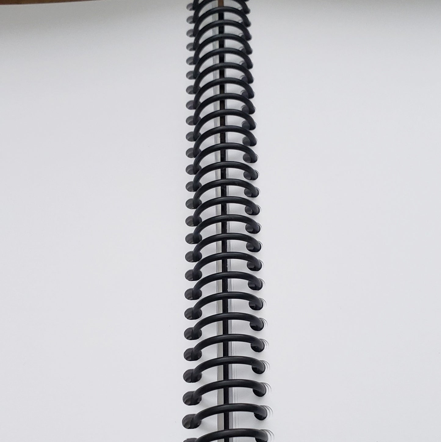 Julia Alvarez Don't Plan on it All Notebook