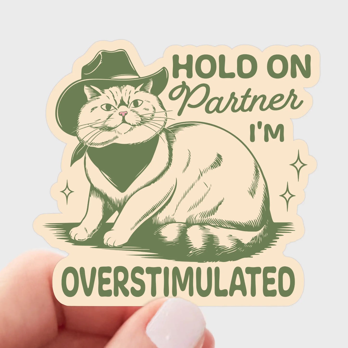 Hold On Partner I'm Overstimulated Sticker - Cat