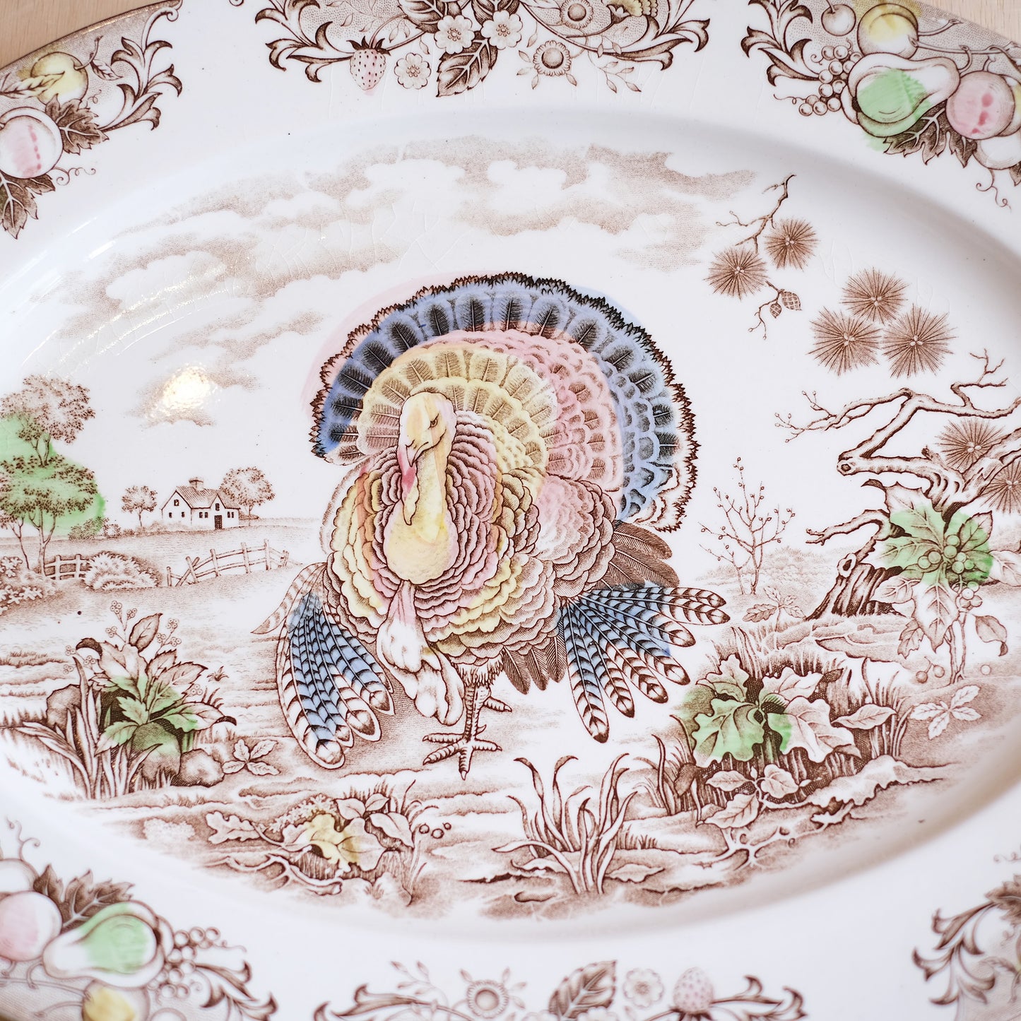 Vintage Turkey Platter