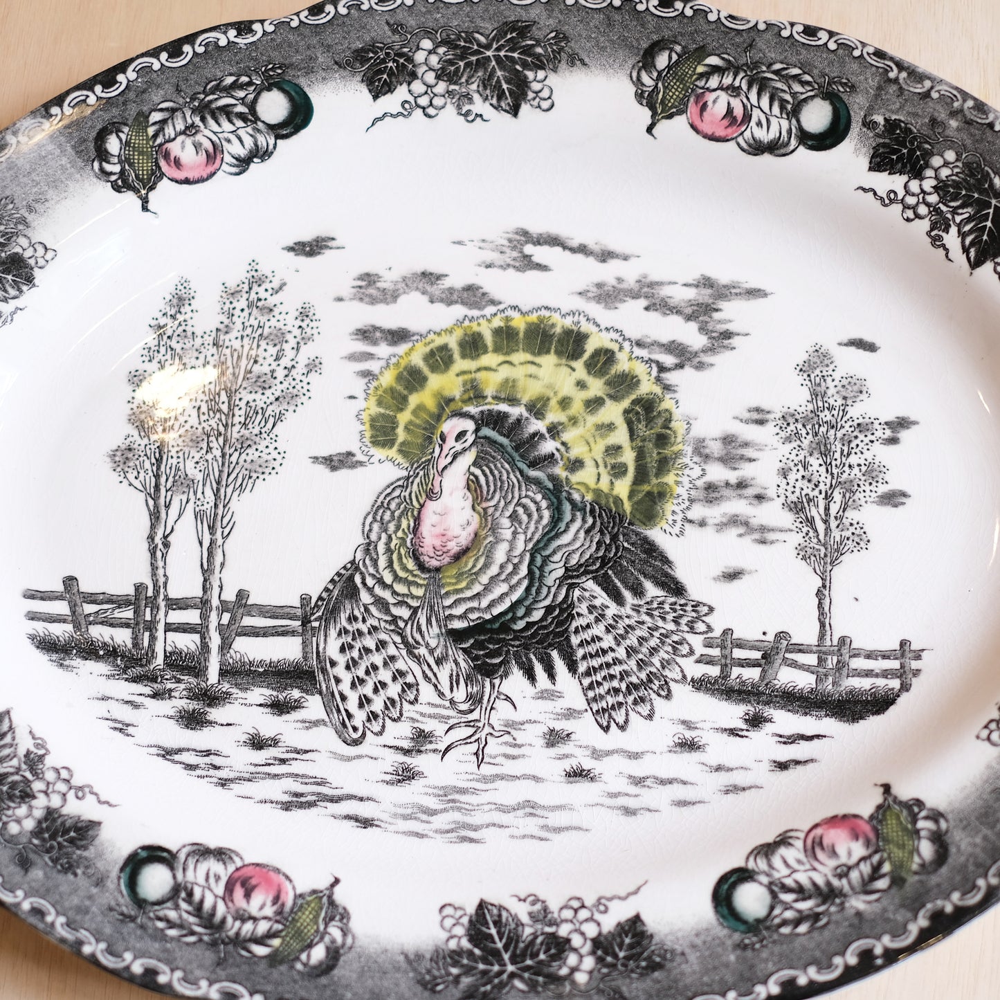 Vintage Turkey Platter