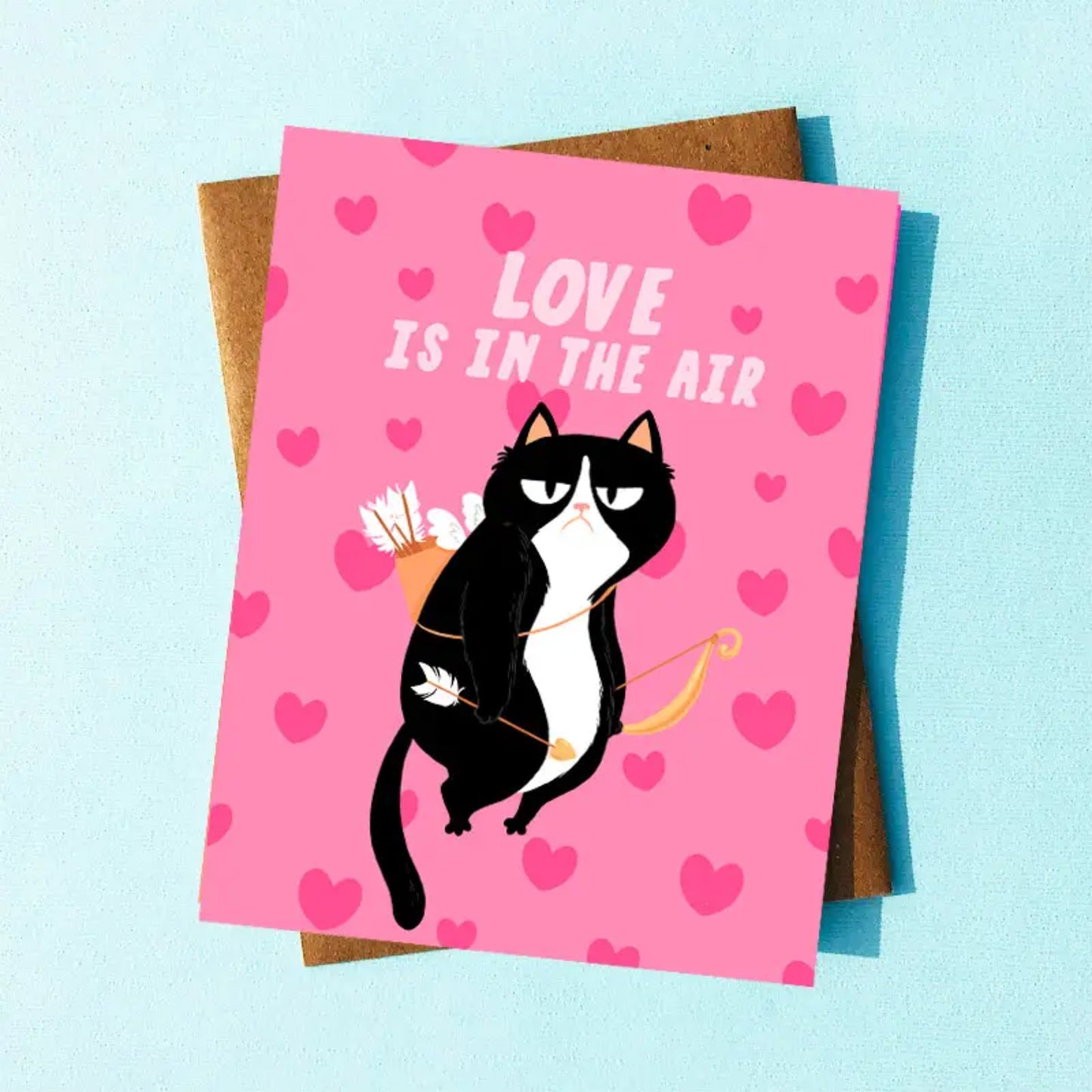 Funny Cat Valentines Day Card