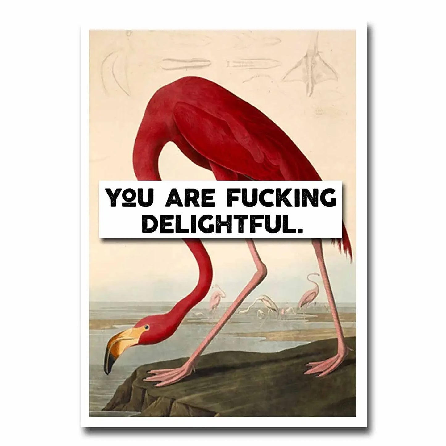 Delightful Greeting Card