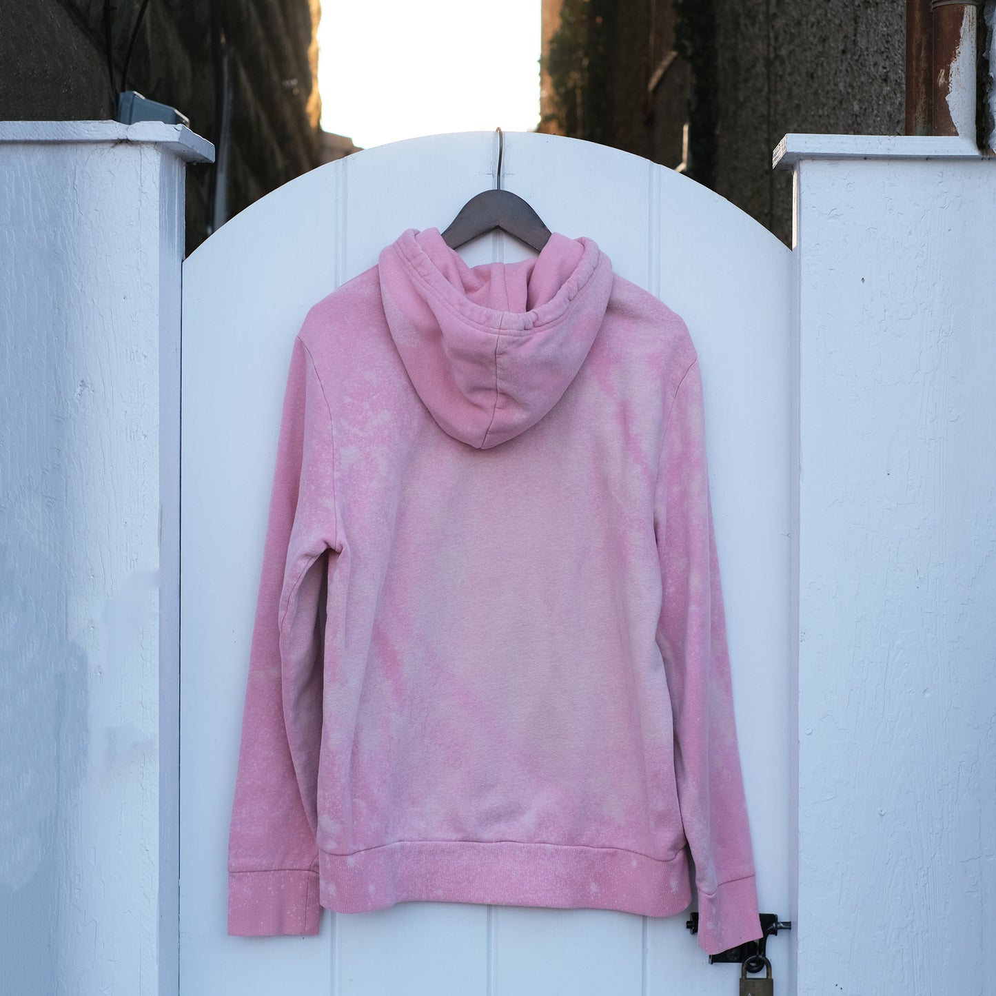 Dino + Friend Baby Pink Hoodie