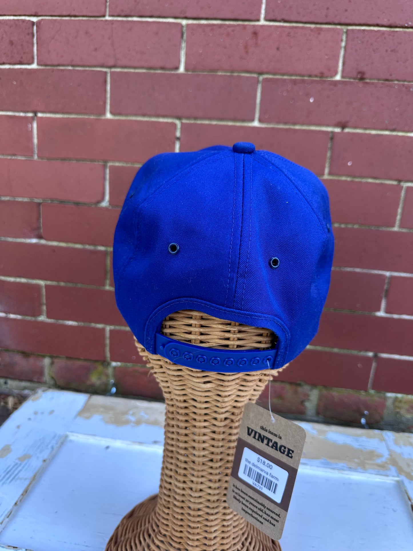 Vintage Trucker Hat Haul 4/25