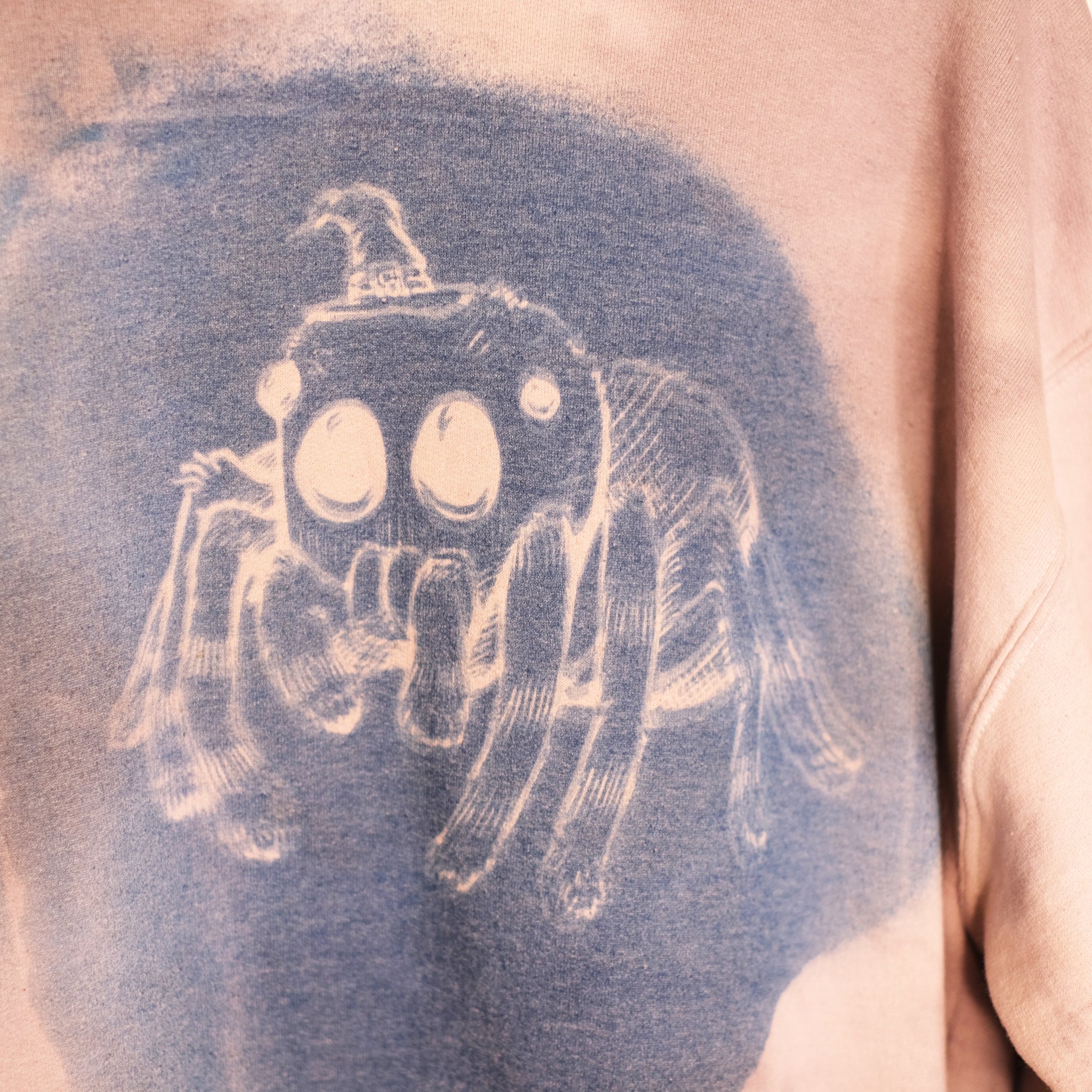 Witchy Spider Sweatshirt