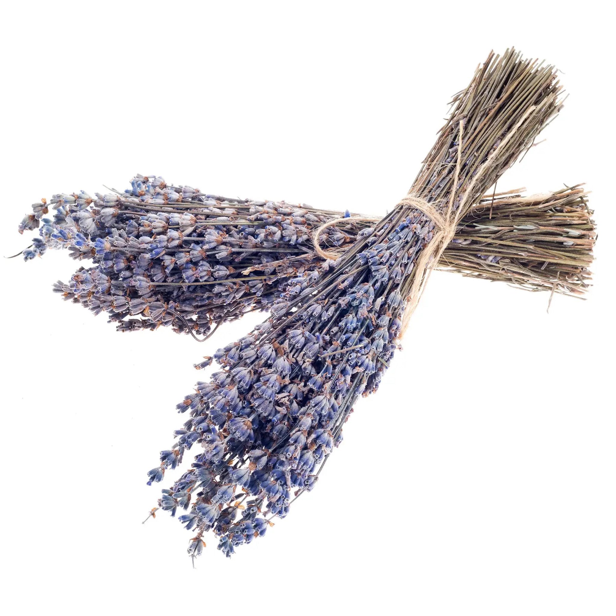 Dried French Lavender Bundle