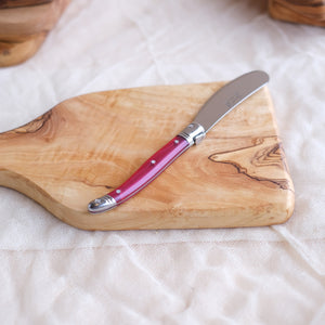 Laguiole Rainbow Mini Fork Tipped Cheese Knives (Set of 12)