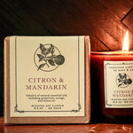 Load image into Gallery viewer, Lodestone Candles Citron &amp; Mandarin
